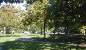 nelson park